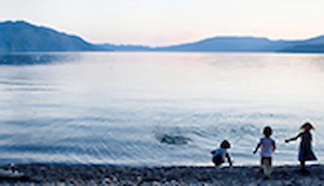 Environmental impact assessment (EIA)