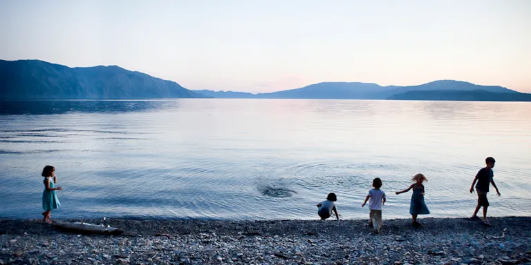 Environmental impact assessment (EIA)