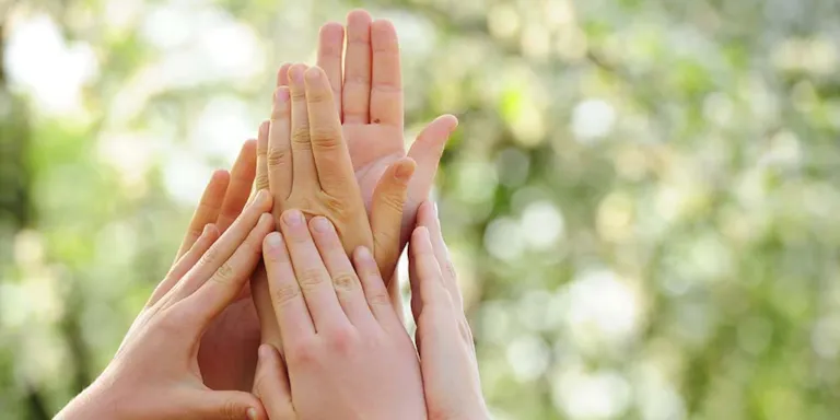 Synergi Life software trainng for risk and QHSE management