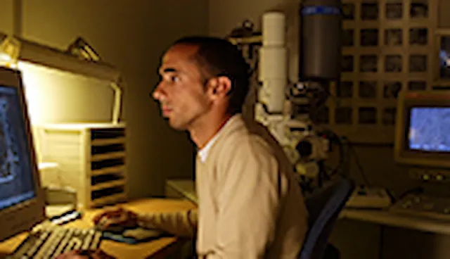 Advanced simulation modelling