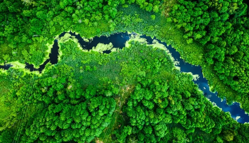 ISO 14067 產品碳足跡查驗