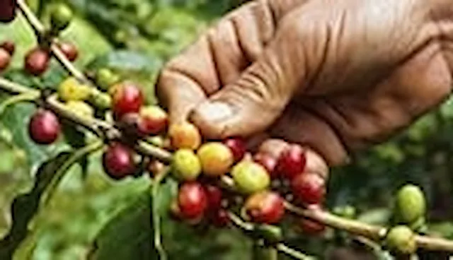 溫室氣體減量專案之確證/查證