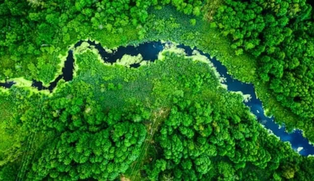 產品碳足跡查證