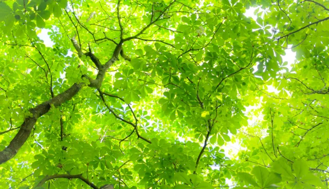 溫室氣體主導查證員課程（2天，共16小時）