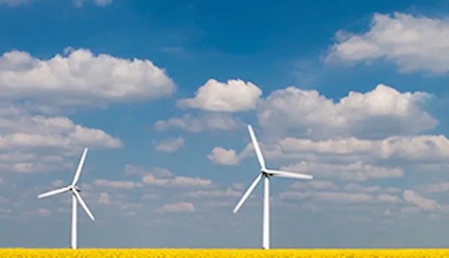 Wind turbine operations support