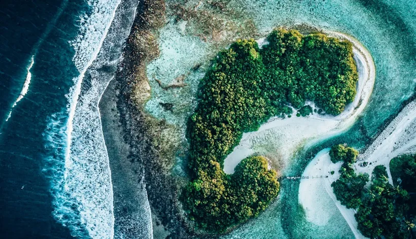 Biodiversity & co-existence