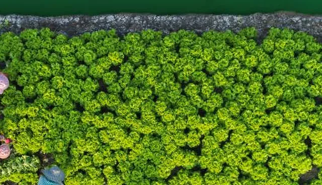 Can investing in climate resilience mitigate a humanitarian crisis?