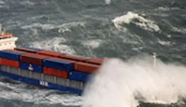 海上服务集装箱的验证