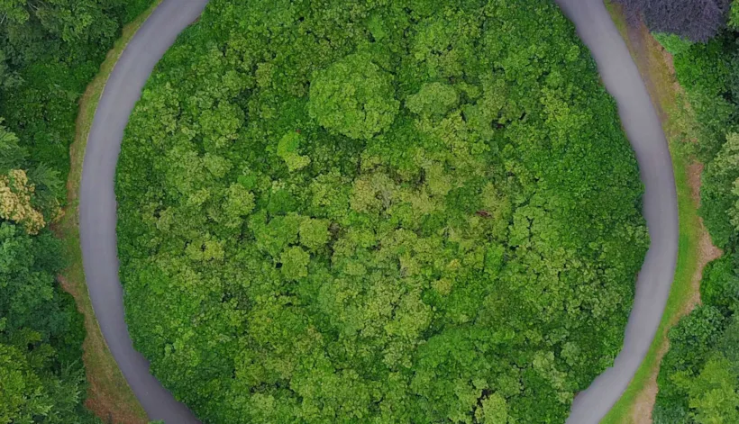 Supply Chain & Product Assurance