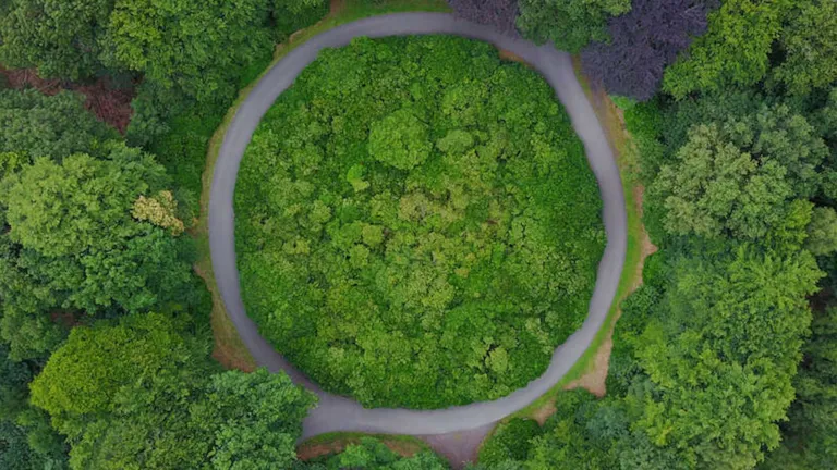 Circular road in a forest
