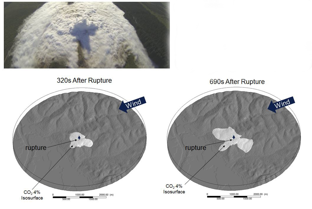 CO2 Safety relaase CO2 safety release