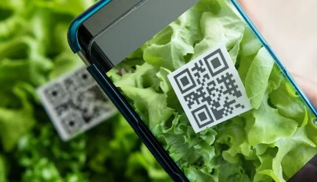 Digital product passports: how to choose the best DPP to bridge the consumer trust gap on sustainability