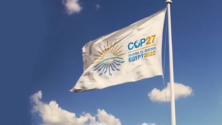 COP27