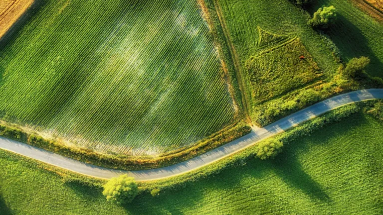 Sustainability at DNV