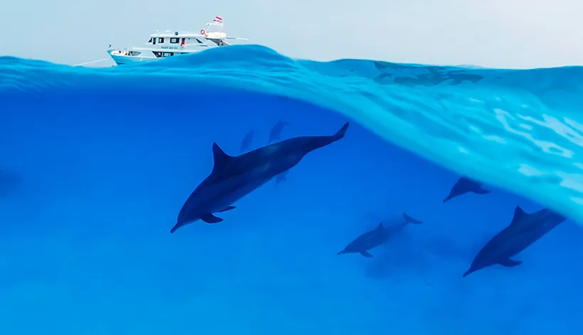 Yacht in healthy environment