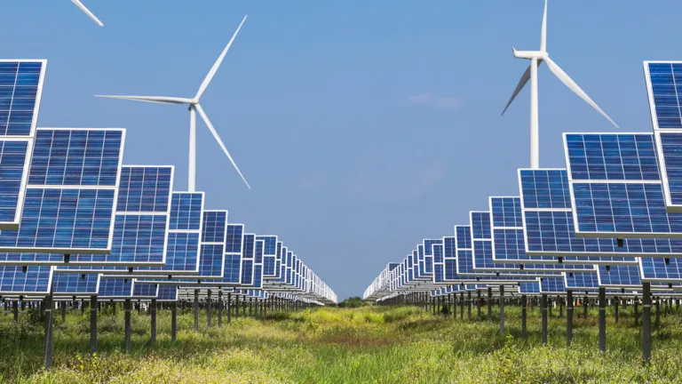 DNV statistics and insights