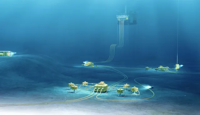 Elastomers in offshore applications