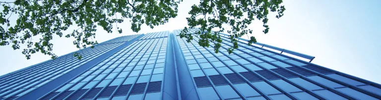 Energy and environment