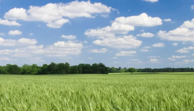 Energy and environmental policy