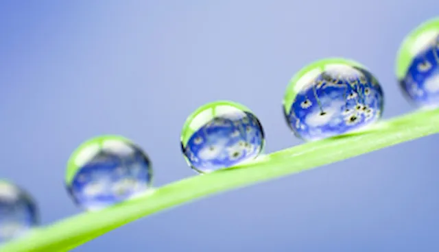 Environmental compliance management