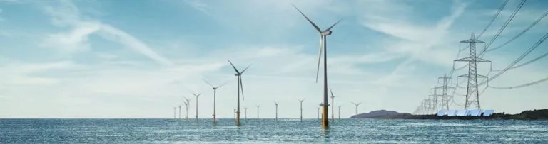 Environmental due diligence 