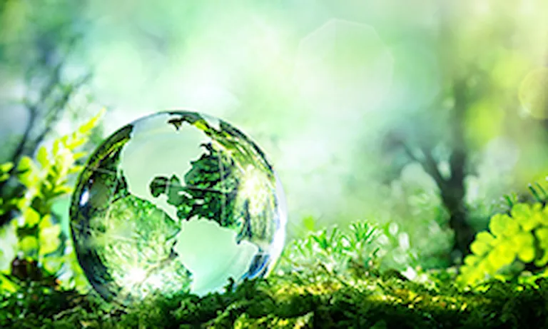 ISO 14001 - Environmental Management System