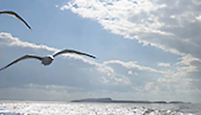 Environmental Passport for Design (EP-D)