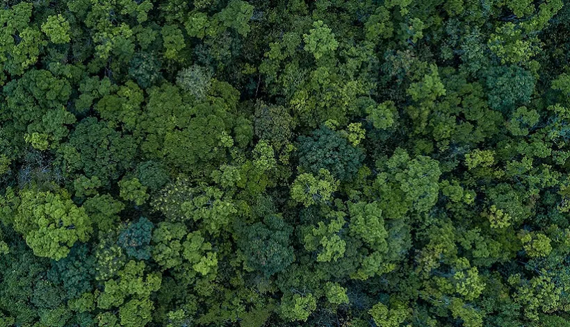 Advising customers on ESG and sustainability