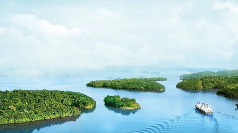 ETO 2019 - Maritime Forecast to 2050