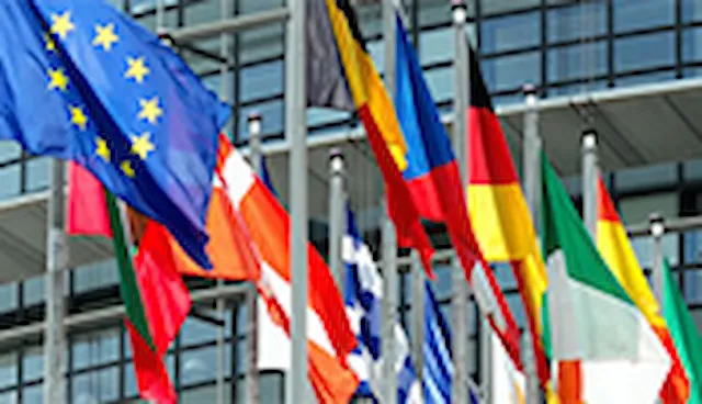 European Energy Efficiency Directive Article 8