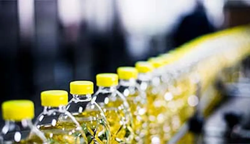 Food and beverage (English)