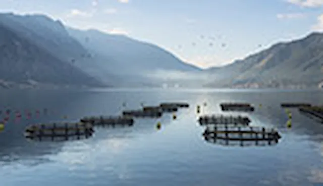 GLOBALG.A.P. IFA – Aquaculture