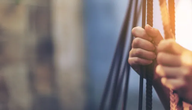 Human rights due diligence services