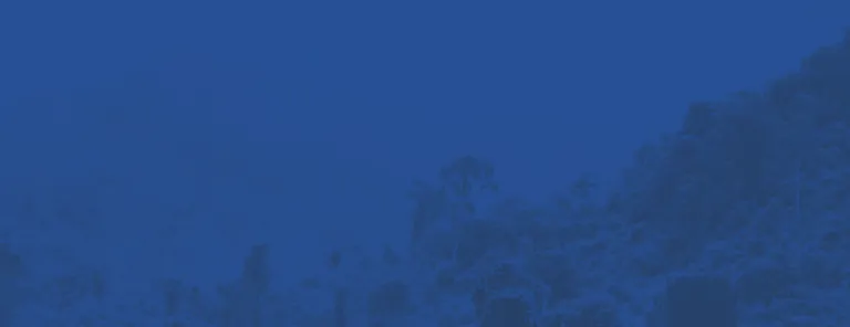 Impact background image