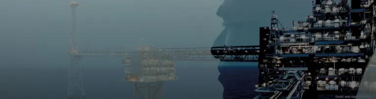 Fixed offshore structure