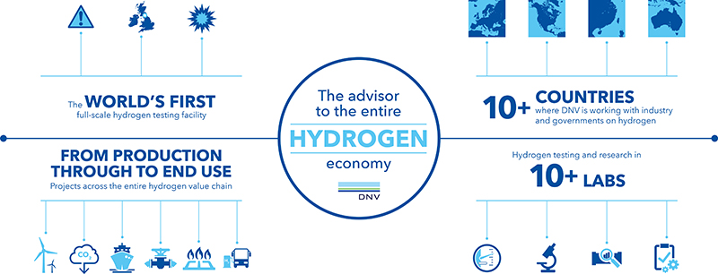 Infographic: The advisor to the entire hydrogen economy Infographic: The advisor to the entire hydrogen economy