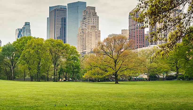 Digital solutions for Real Estate