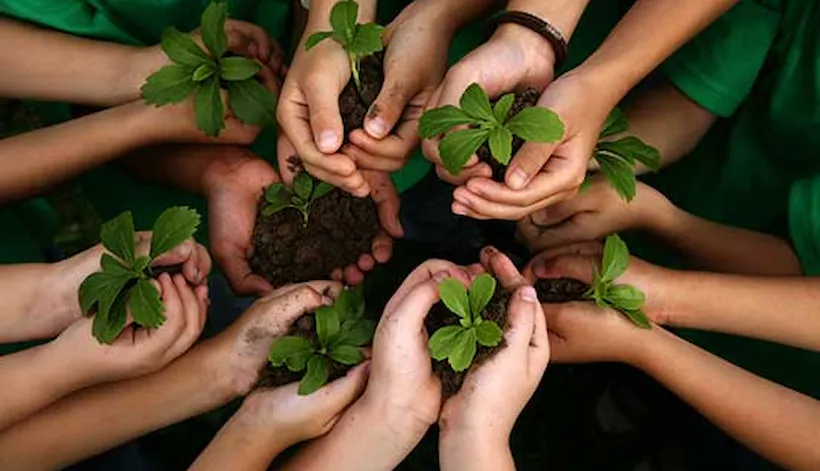 Grundkurs ISO 14001:2015