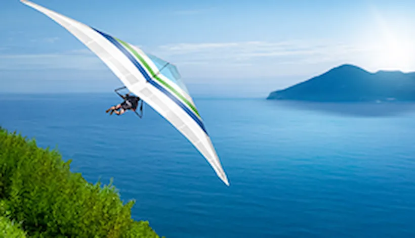 Online self-assessment suite