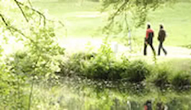 Low emissions development advisory and assurance services