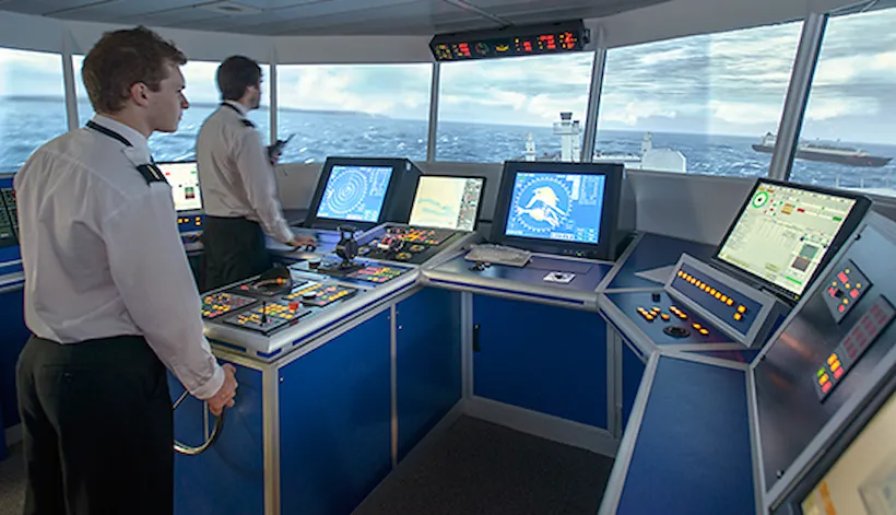 软件和数字化服务