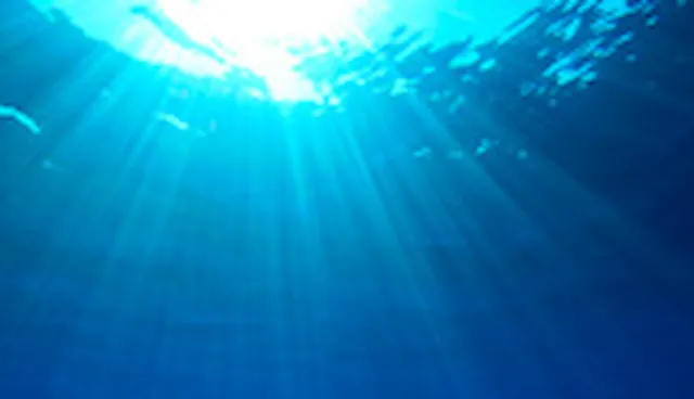 MARPOL survey and certification service