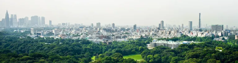 Management Systems Certification