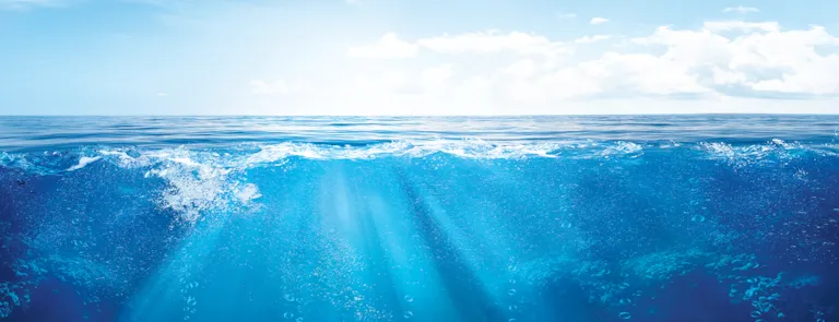 Environmental risk management