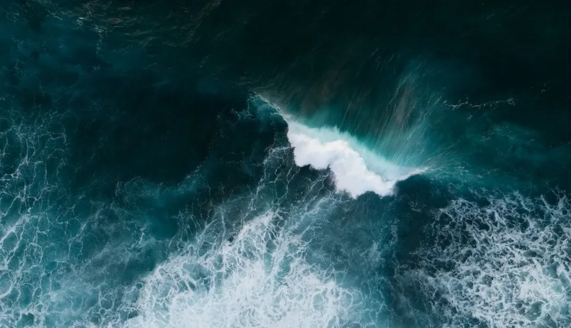 Spatial Competition Forecast