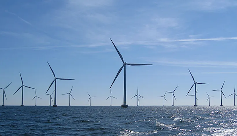 Company due diligence