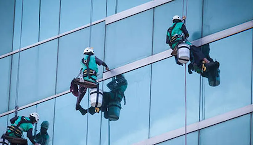 Espresso survey - Occupational Health and Safety audit findings snapshot