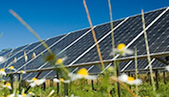 Permit preparation for renewable energy projects