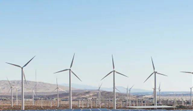 Wind farm development