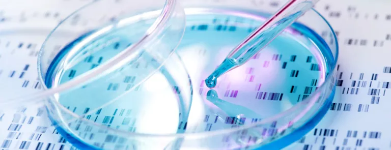DNA sample being pipetted into petri dish with DNA scheme in the background